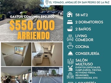 Arriendo Mensual / Departamento / San Pedro de la Paz