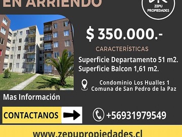 Arriendo Mensual / Departamento / San Pedro de la Paz