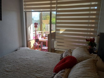 Imagen 23