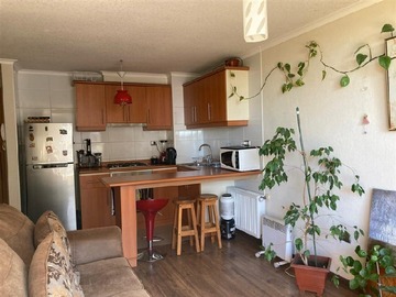 Arriendo Mensual / Departamento / San Pedro de la Paz