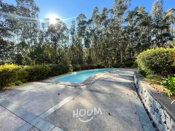 Imagen 22