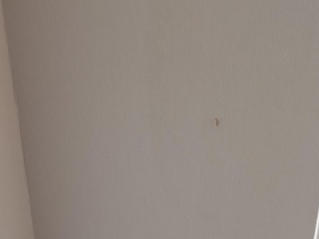 Arriendo Mensual / Departamento / San Pedro de la Paz