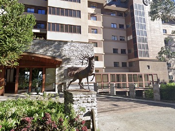 Arriendo Mensual / Departamento / San Pedro de la Paz