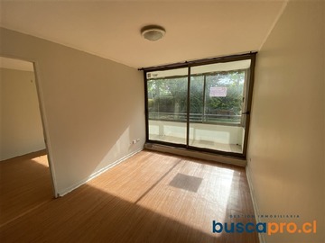 Imagen 7