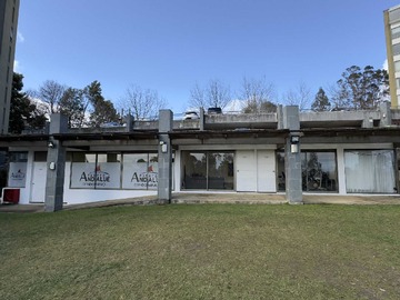 Arriendo Mensual / Departamento / San Pedro de la Paz