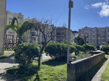 Arriendo Mensual / Departamento / San Pedro de la Paz