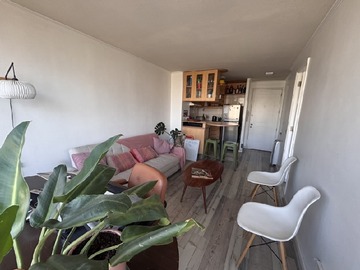 Arriendo Mensual / Departamento / Santiago