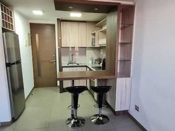 Arriendo Mensual / Departamento / Santiago