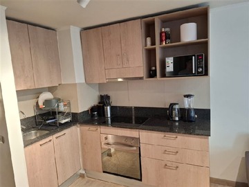 Arriendo Mensual / Departamento / Santiago