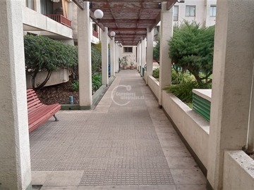Imagen 13
