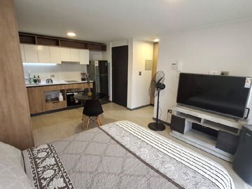 Arriendo Mensual / Departamento / Santiago