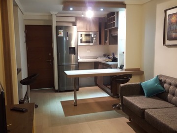 Arriendo Mensual / Departamento / Santiago