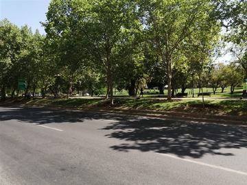 Imagen 21