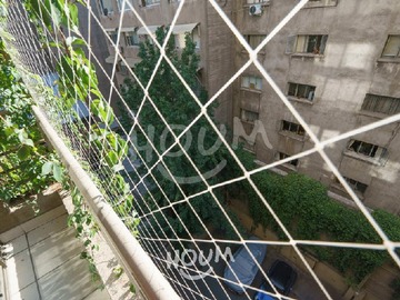 Imagen 6