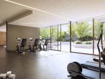 Gimnasio