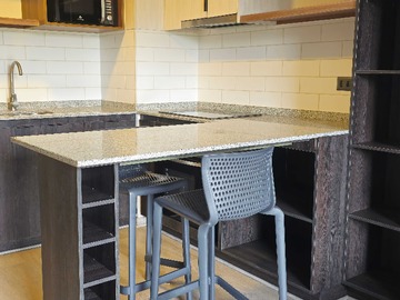 Arriendo Mensual / Departamento / Santiago