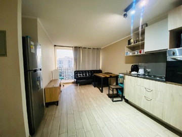 Arriendo Mensual / Departamento / Santiago