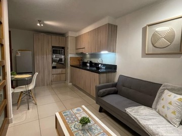 Arriendo Mensual / Departamento / Santiago