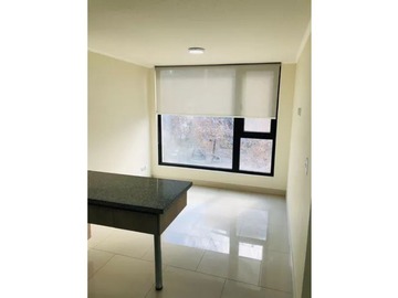 Arriendo Mensual / Departamento / Santiago