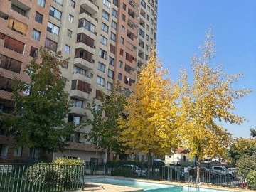 Imagen 18