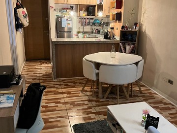 Arriendo Mensual / Departamento / Santiago
