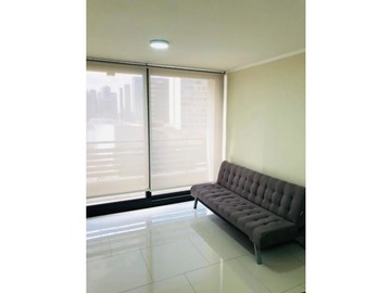 Arriendo Mensual / Departamento / Santiago