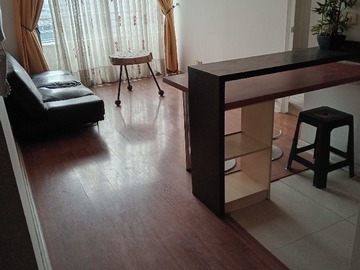 Arriendo Mensual / Departamento / Santiago