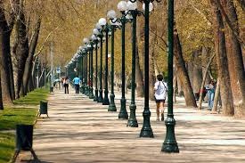 Imagen 11