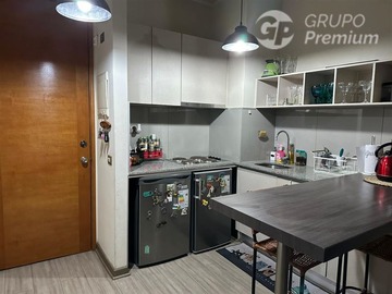 Arriendo Mensual / Departamento / Santiago