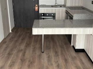 Arriendo Mensual / Departamento / Santiago