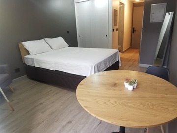 Arriendo Mensual / Departamento / Santiago