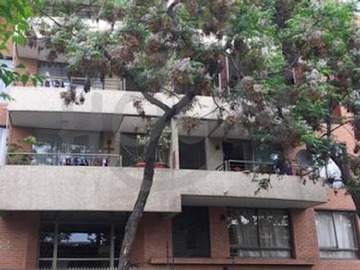 Imagen 21