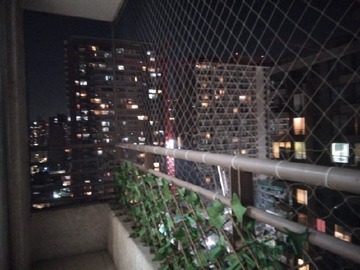 Imagen 7