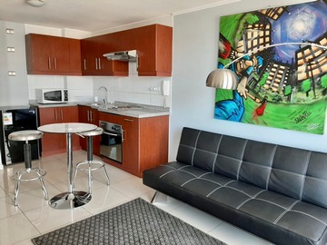 Arriendo Mensual / Departamento / Santiago