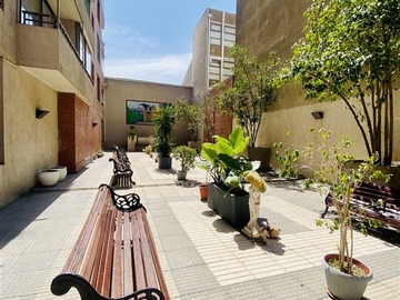 Imagen 12