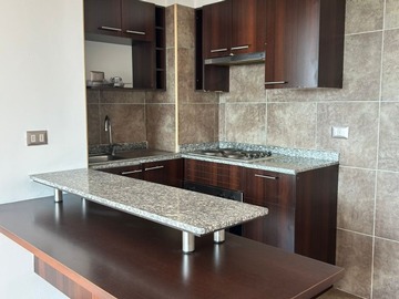 Arriendo Mensual / Departamento / Santiago