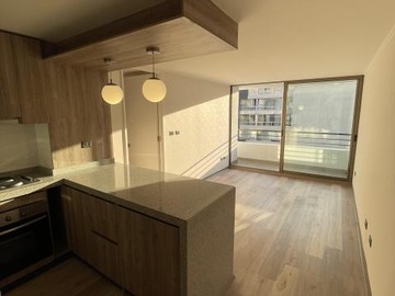 Arriendo Mensual / Departamento / Santiago