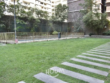 Imagen 13