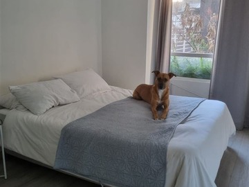 Imagen 9