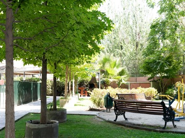 Imagen 22