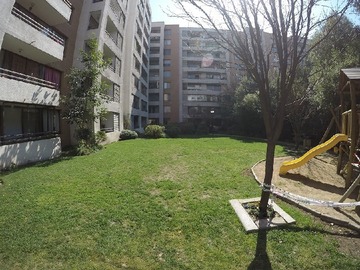Imagen 22