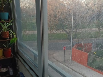 Imagen 7
