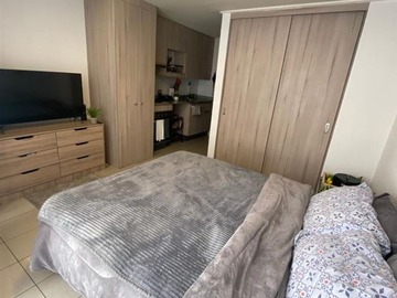 Arriendo Mensual / Departamento / Santiago