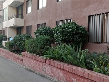 Imagen 20