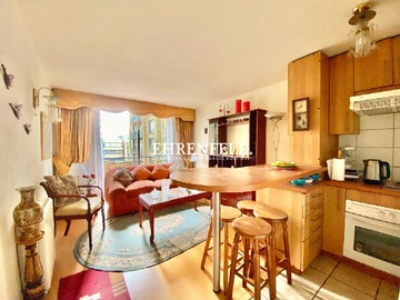 Arriendo Mensual / Departamento / Santiago