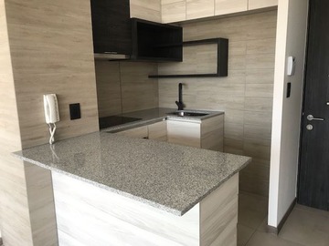Arriendo Mensual / Departamento / Santiago