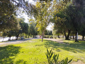Imagen 19