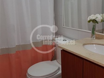 Imagen 12