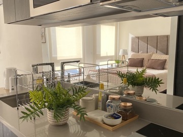 Arriendo Mensual / Departamento / Santiago