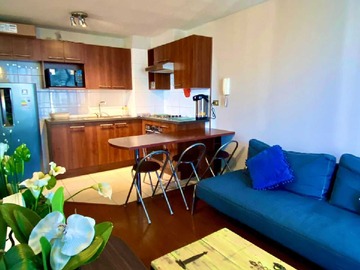 Arriendo Mensual / Departamento / Santiago